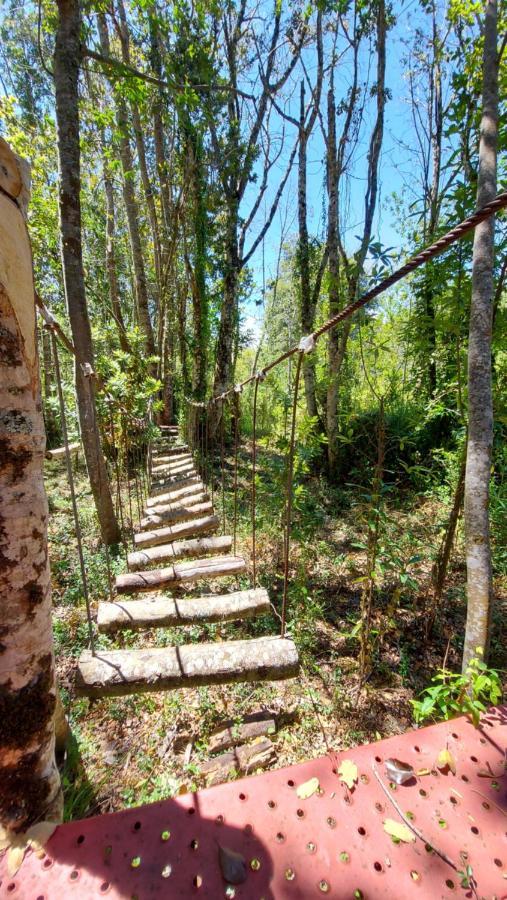 Hotel Lodge Las Cascadas Puerto Clocker Екстериор снимка